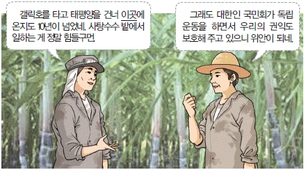 문제 이미지 51