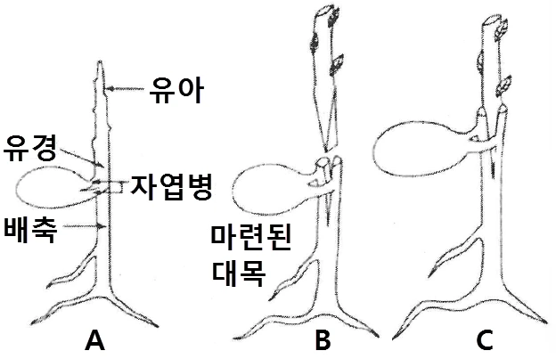 문제 이미지 1