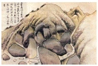 문제 이미지 34