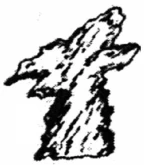 문제 이미지 4