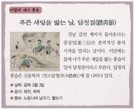 문제 이미지 53